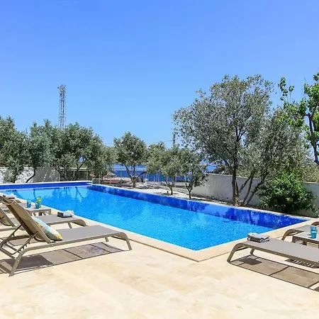 Aristos * Kaş