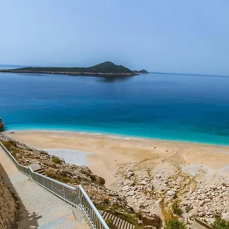 Aristos فيلة *