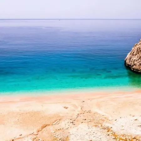 Aristos فيلة