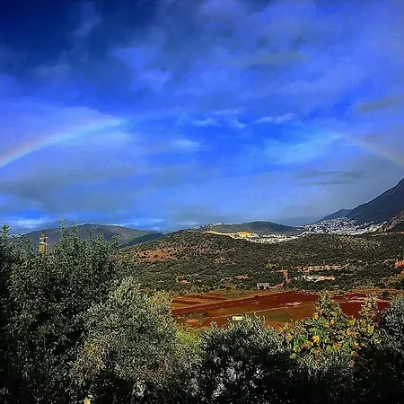 Aristos Kaş
